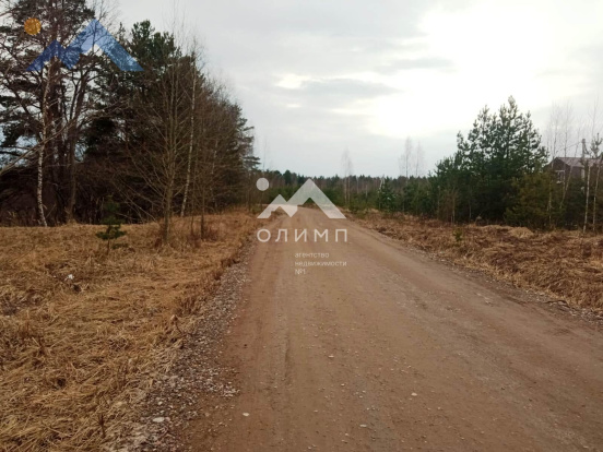 Россия, Ярославский муниципальный округ, деревня Боровая