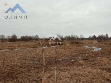 Россия, Ярославский муниципальный округ, ДНП Новые Сады