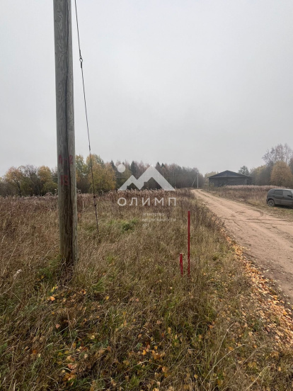 Россия, Вологодская область, Вашкинский муниципальный округ, деревня Тимино (Андреевский сельсовет) 4593165037