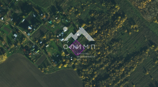 Россия, Вологодский муниципальный округ, деревня Павшино (Новленский сельсовет)