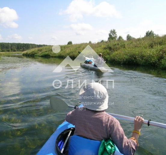 Россия, Ярославская область, Ростовский муниципальный округ, деревня Кладовицы, 1