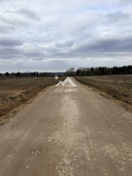 Россия, Ярославская область, Тутаевский муниципальный округ, деревня Павловское (Фоминский сельский округ)