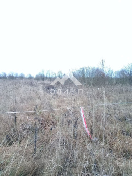 Россия, Ярославский муниципальный округ, деревня Дорожаево