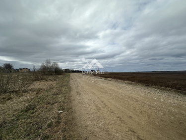 Россия, Ярославский муниципальный округ, село Андроники