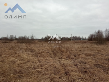 Россия, Ярославский муниципальный округ, ДНП Новые Сады