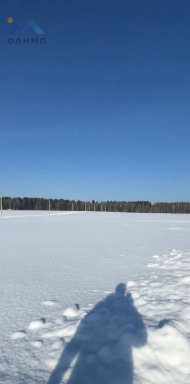 Ярославская область, Некрасовский 12728