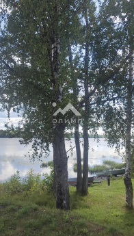 Россия, Ярославская область, Некрасовский муниципальный округ, деревня Яснищи, Комсомольская улица, 12