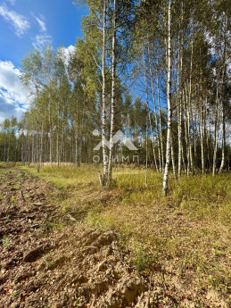 Россия, Ярославская область, Некрасовский муниципальный округ, село Диево-Городище 4446983596