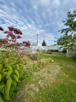 Россия, Ярославская область, Тутаевский муниципальный округ, деревня Емишево, Староемишевская улица, 13 4438299728