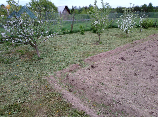 Вологодская область, деревня Старое (Старосельский сельсовет), 61 12704