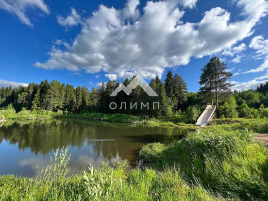 Россия, Вологодская область, Никольский муниципальный округ, село Светлый Ключ