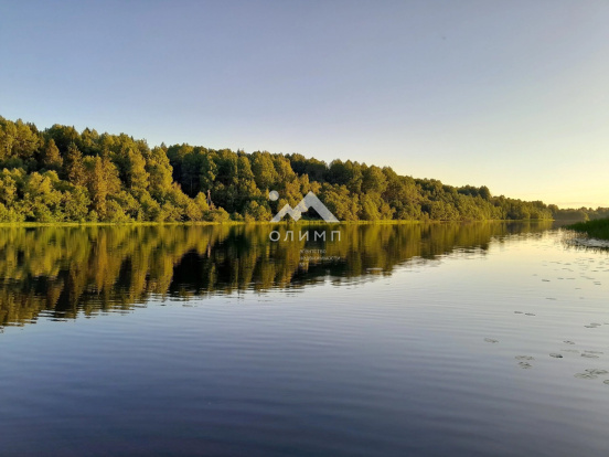 Россия, Вологодская область, Харовский муниципальный округ, деревня Угол