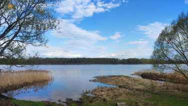 Ярославская область, село Диево-Городище, Пролетарская улица, 16 14215