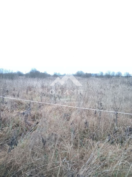 Россия, Ярославский муниципальный округ, деревня Дорожаево