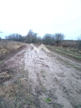 Россия, Ярославский муниципальный округ, деревня Дорожаево