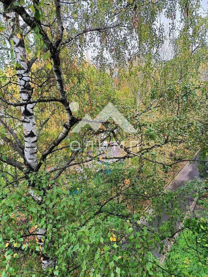 Россия, Вологда, улица Кирова, 41 4700621158