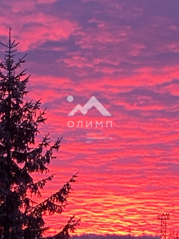 Россия, Ярославская область, Гаврилов-Ямский муниципальный округ, деревня Старосёлово