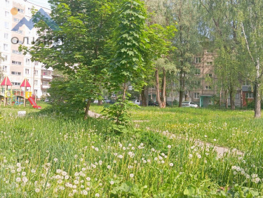 Ярославская область, Тутаев, улица Моторостроителей, 43 14428