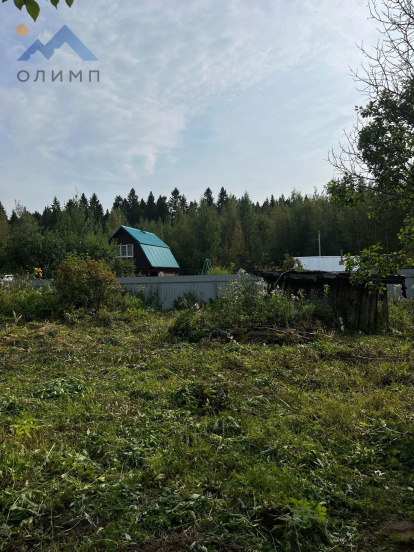 Вологодская область, Вологодский район, садоводческое товарищество Лиана 12554